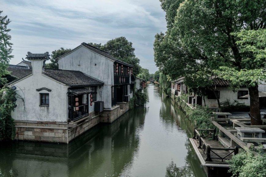 植物大战僵尸16